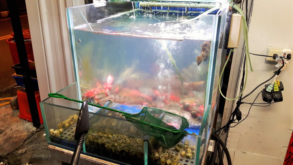 20160912_182223.jpg 20160912_182223.jpg