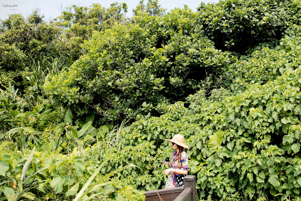 三貂角與鼻頭角的雙燈塔大探索 三貂角與鼻頭角的雙燈塔大探索