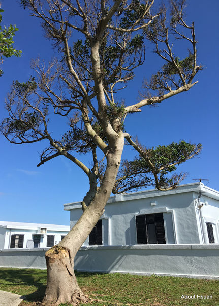 IMG_4526.JPG IMG_4526.JPG