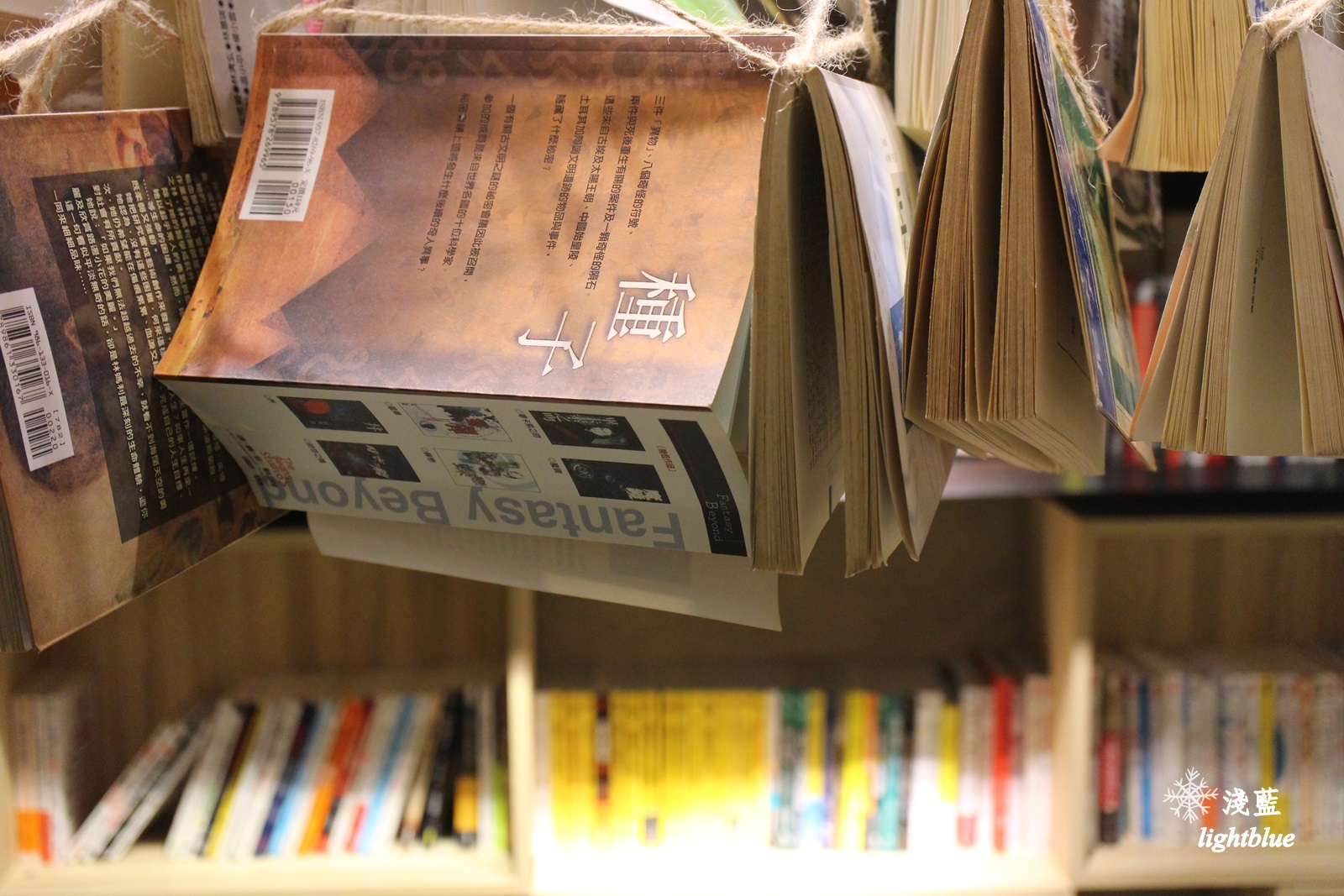 嘉義景點：淺藍 × 承億小鎮慢讀～文青書店還有好多生活文創選物與滿滿乾燥花，好拍又好逛