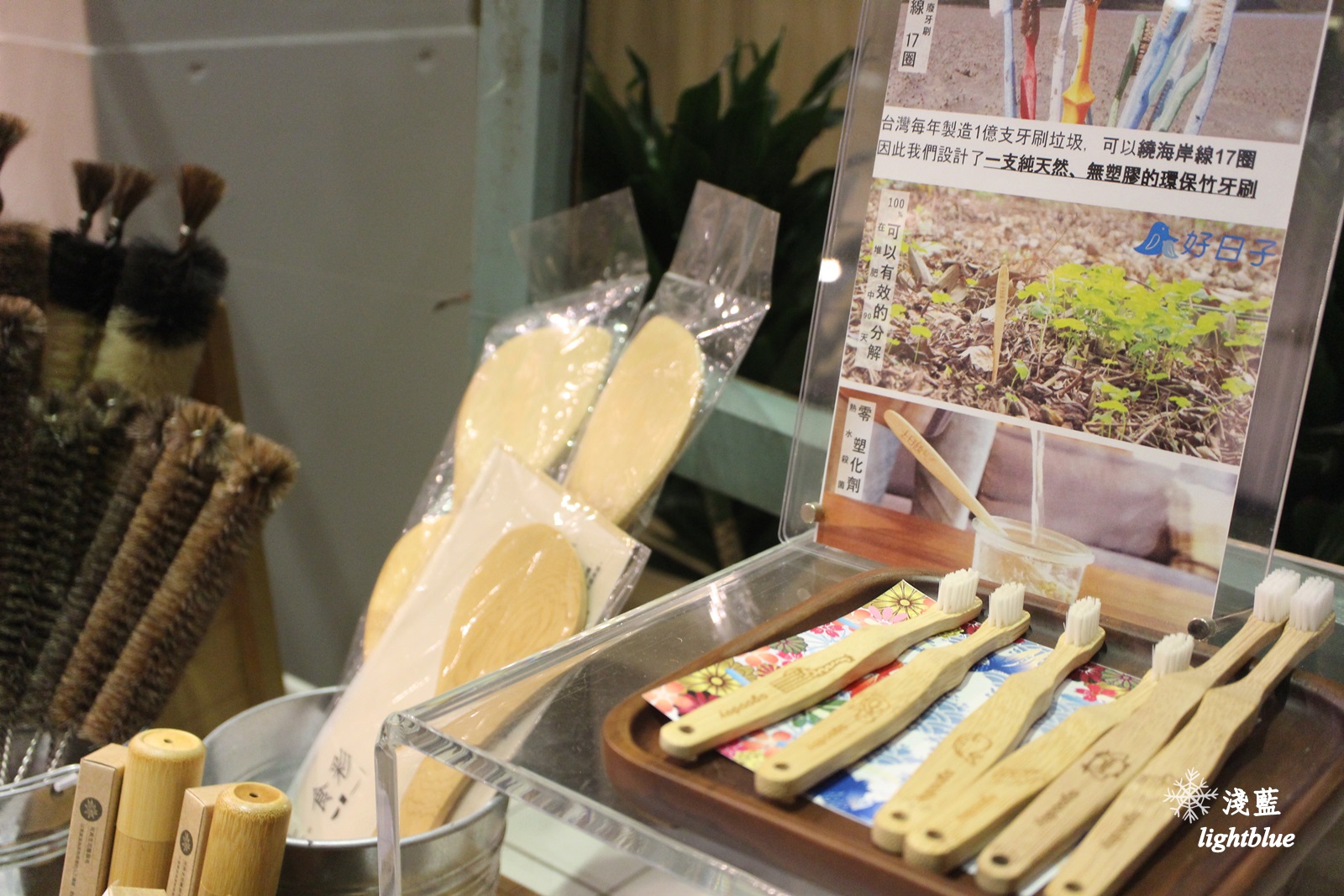 嘉義景點：淺藍 × 承億小鎮慢讀～文青書店還有好多生活文創選物與滿滿乾燥花，好拍又好逛
