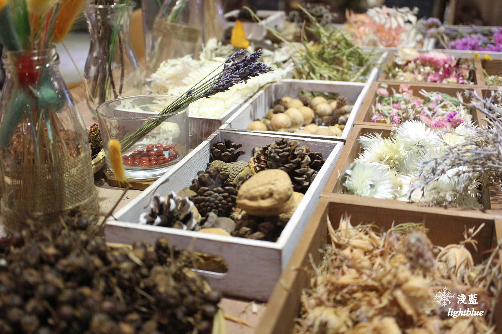 嘉義景點：淺藍 × 承億小鎮慢讀～文青書店還有好多生活文創選物與滿滿乾燥花，好拍又好逛