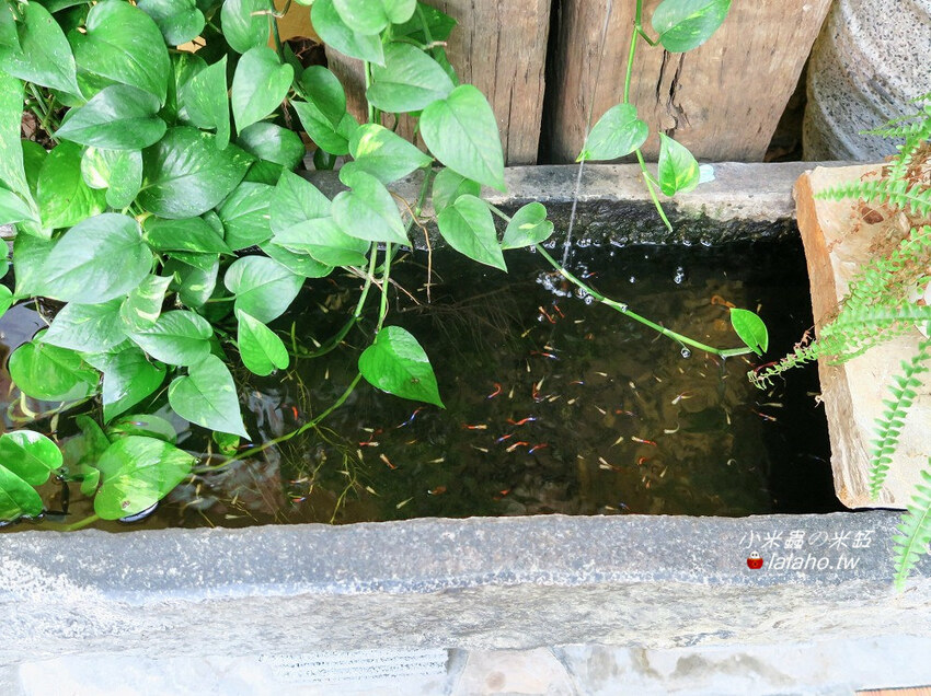 D.G Café 藏在迪化街裡的花園咖啡廳，美得像仙境!!