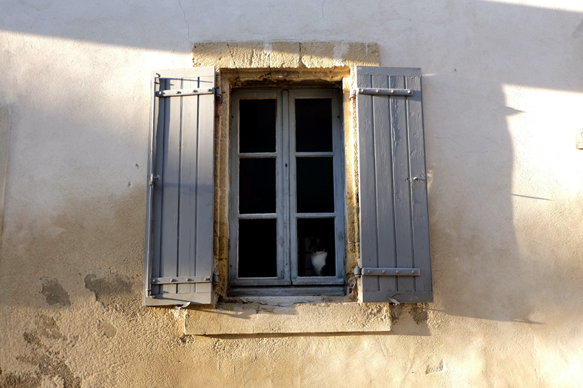 DSCF5479.JPG DSCF5479.JPG