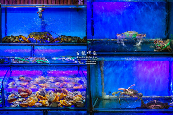 生猛特區主題式啤酒屋|桃園市桃園區台式熱炒啤酒主題餐廳；適合三五好友休糾來扛拜。