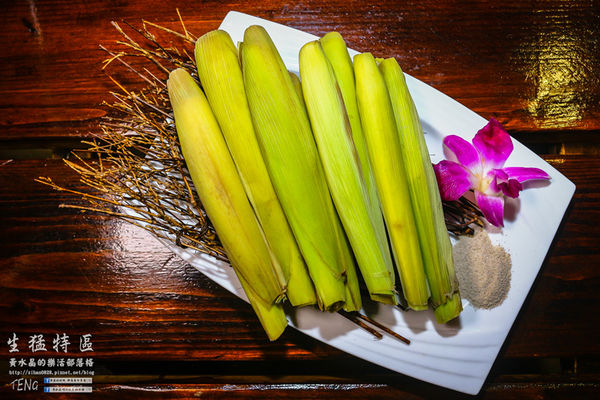 生猛特區主題式啤酒屋|桃園市桃園區台式熱炒啤酒主題餐廳；適合三五好友休糾來扛拜。