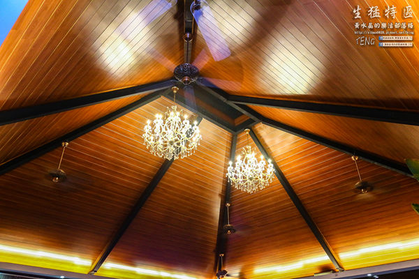 生猛特區主題式啤酒屋|桃園市桃園區台式熱炒啤酒主題餐廳；適合三五好友休糾來扛拜。