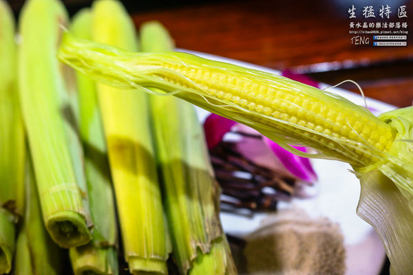 生猛特區主題式啤酒屋|桃園市桃園區台式熱炒啤酒主題餐廳；適合三五好友休糾來扛拜。