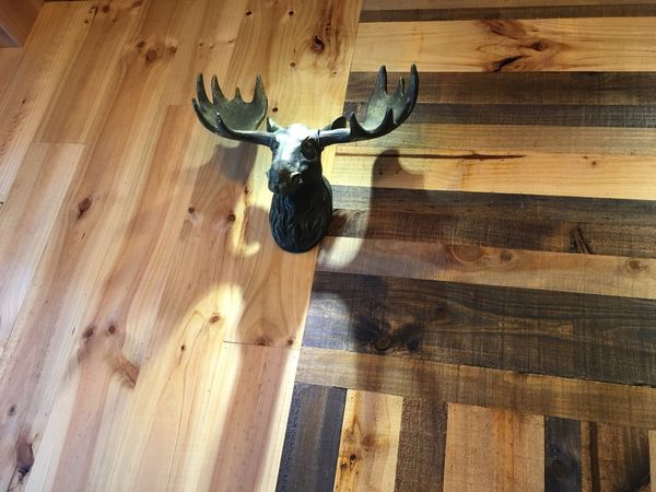 照片 137.jpg 照片 137.jpg