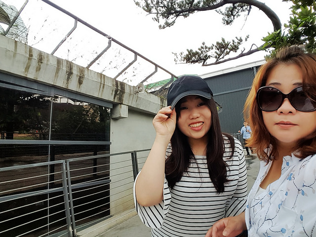 20170824_115133_副本