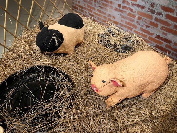 ●雲林旅遊●良作工場農業文創館/雲林大埤/良子和她的豬/食的有意思