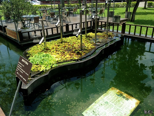 【埔里景點】造紙龍&愛情故事館∞少女的浪漫之旅(✪ω✪)