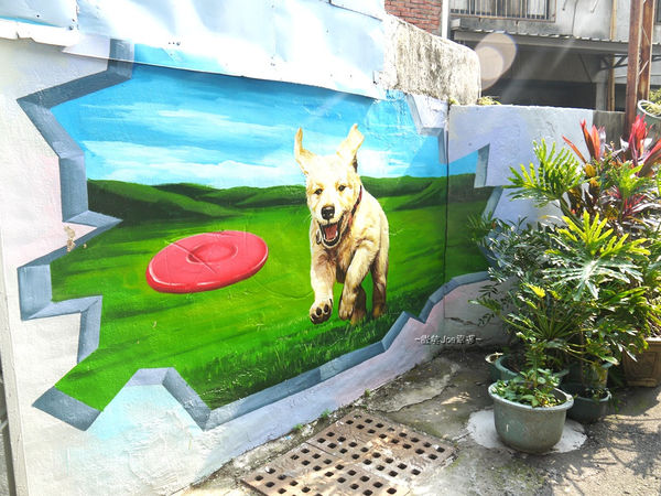 P1420632.jpg P1420632.jpg