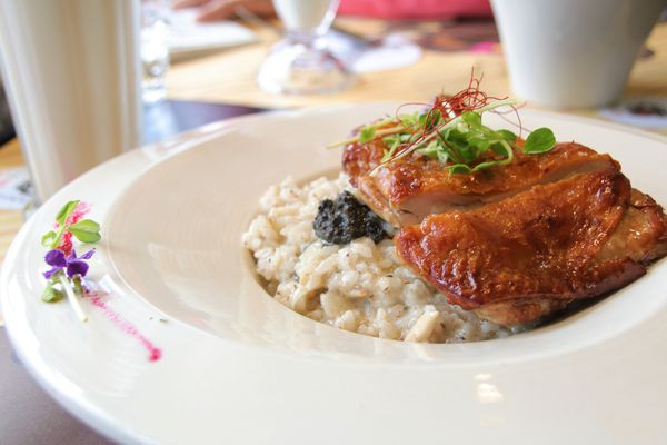 邦妮義饗世界：【桃園龍潭美食】邦妮義饗世界~寵物友善親子餐廳/家庭公司聚餐好地方/美拍花牆/義式精緻料理