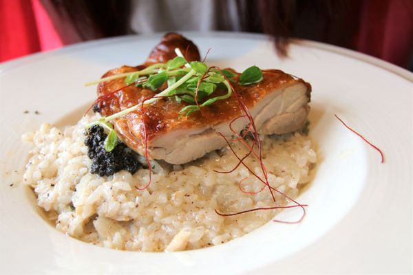 邦妮義饗世界：【桃園龍潭美食】邦妮義饗世界~寵物友善親子餐廳/家庭公司聚餐好地方/美拍花牆/義式精緻料理