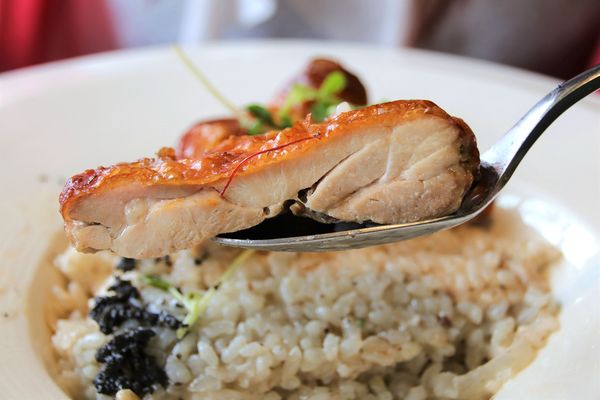 邦妮義饗世界：【桃園龍潭美食】邦妮義饗世界~寵物友善親子餐廳/家庭公司聚餐好地方/美拍花牆/義式精緻料理