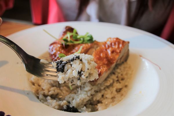 邦妮義饗世界：【桃園龍潭美食】邦妮義饗世界~寵物友善親子餐廳/家庭公司聚餐好地方/美拍花牆/義式精緻料理