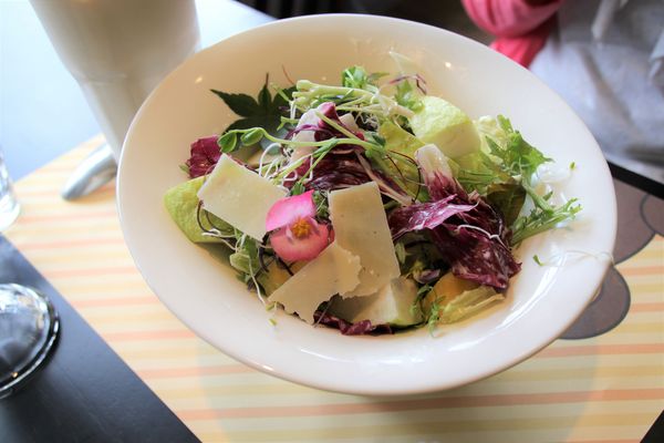 邦妮義饗世界：【桃園龍潭美食】邦妮義饗世界~寵物友善親子餐廳/家庭公司聚餐好地方/美拍花牆/義式精緻料理