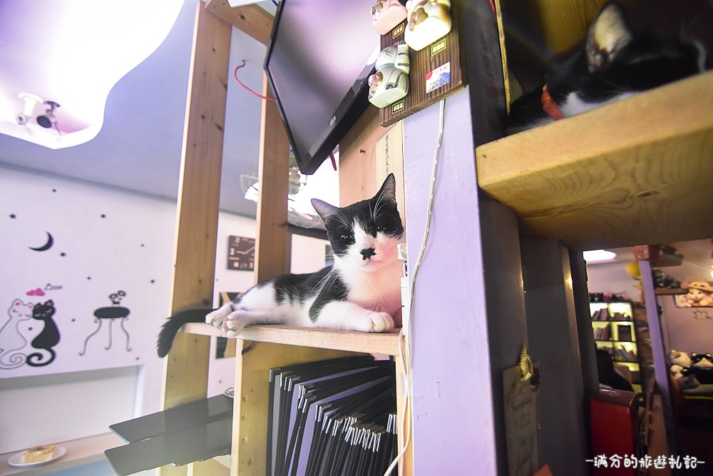 新竹湖口夜景》Summer Cafe 鳥瞰新竹城市的迷人夜景 可愛喵星人出沒 - 滿分的旅遊札記