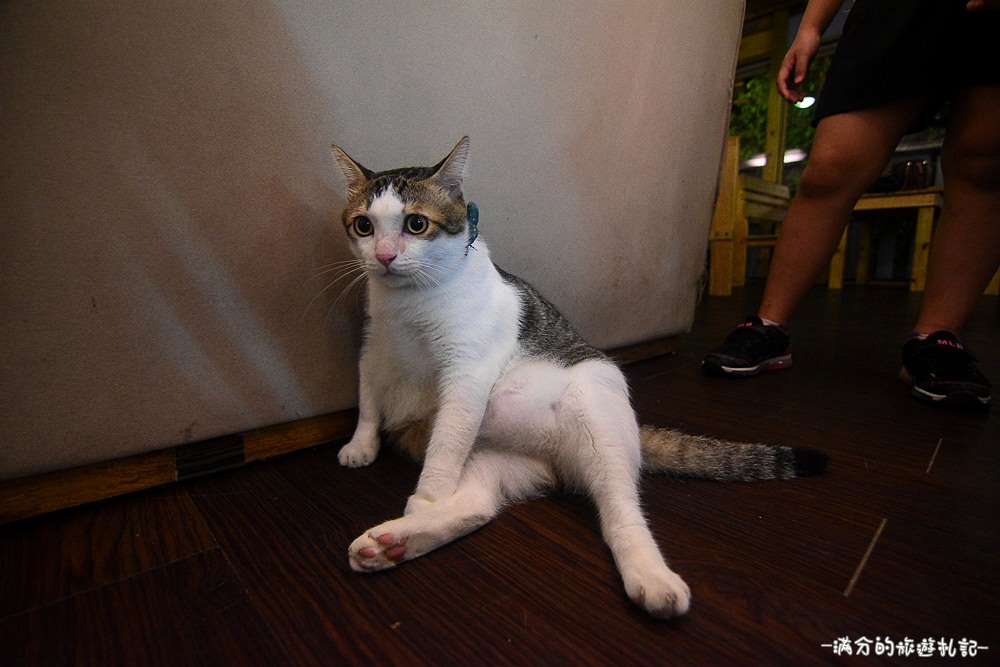 新竹湖口夜景》Summer Cafe 鳥瞰新竹城市的迷人夜景 可愛喵星人出沒 - 滿分的旅遊札記