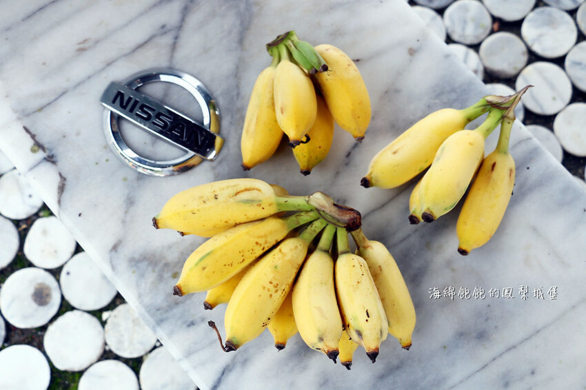 花蓮噶海鮮推薦「噶瑪蘭風味餐廳」活龍蝦、鮑魚、生魚片便宜好吃，菜單價位