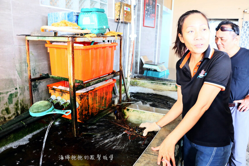 花蓮噶海鮮推薦「噶瑪蘭風味餐廳」活龍蝦、鮑魚、生魚片便宜好吃，菜單價位