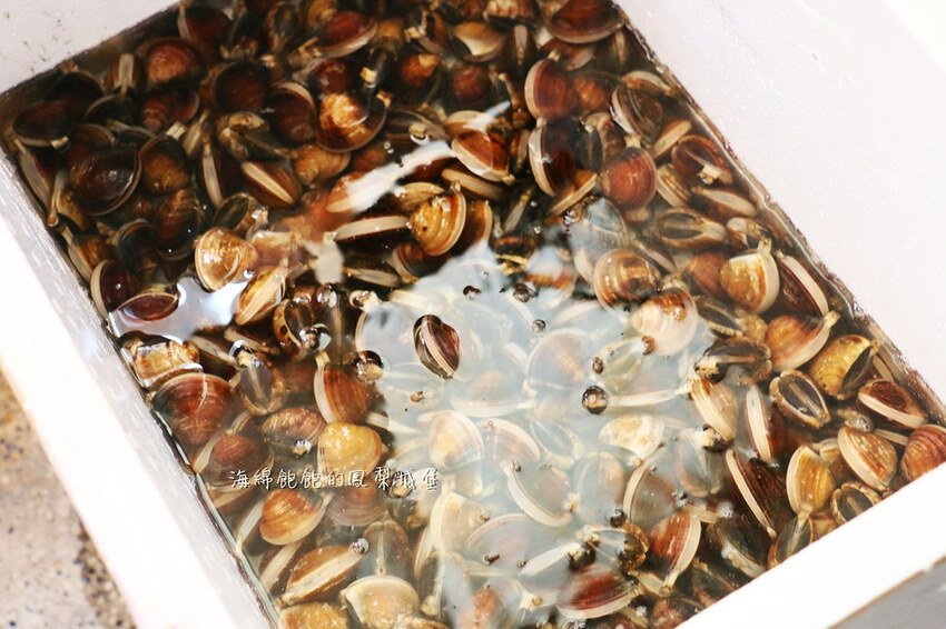 花蓮噶海鮮推薦「噶瑪蘭風味餐廳」活龍蝦、鮑魚、生魚片便宜好吃，菜單價位