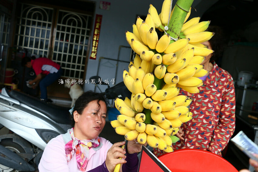 花蓮噶海鮮推薦「噶瑪蘭風味餐廳」活龍蝦、鮑魚、生魚片便宜好吃，菜單價位