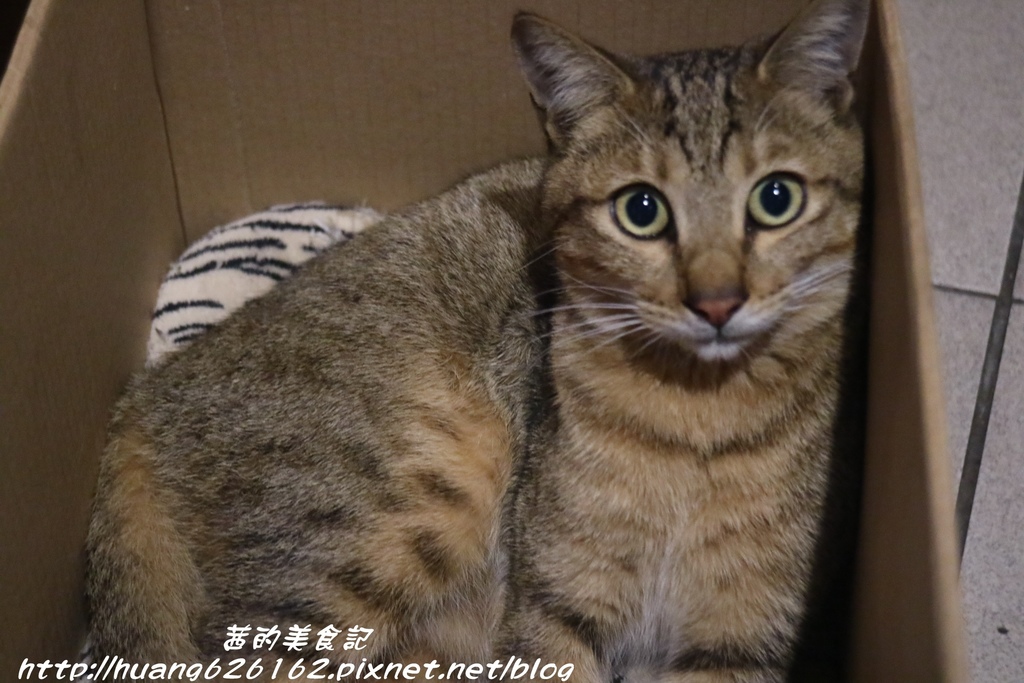 IMG_8673.JPG IMG_8673.JPG