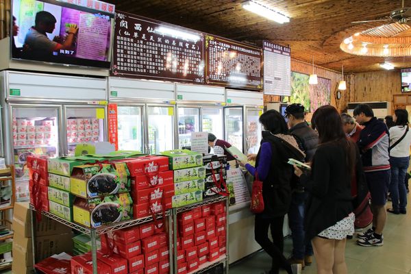 關西仙草博物館生態農場:【新竹景點】仙草巷關西仙草博物館~仙草飯糰創意料理/復古黑膠唱片展示/仙草凍DIY體驗/走訪一趟綠色小徑豐富這趟的生態之旅吧