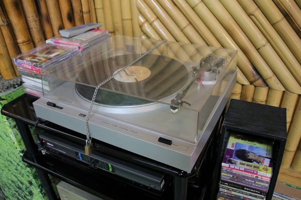 關西仙草博物館生態農場:【新竹景點】仙草巷關西仙草博物館~仙草飯糰創意料理/復古黑膠唱片展示/仙草凍DIY體驗/走訪一趟綠色小徑豐富這趟的生態之旅吧