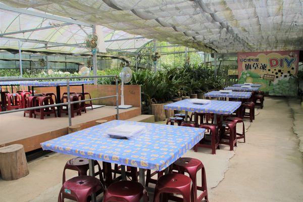 關西仙草博物館生態農場:【新竹景點】仙草巷關西仙草博物館~仙草飯糰創意料理/復古黑膠唱片展示/仙草凍DIY體驗/走訪一趟綠色小徑豐富這趟的生態之旅吧