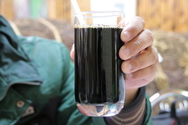 關西仙草博物館生態農場:【新竹景點】仙草巷關西仙草博物館~仙草飯糰創意料理/復古黑膠唱片展示/仙草凍DIY體驗/走訪一趟綠色小徑豐富這趟的生態之旅吧