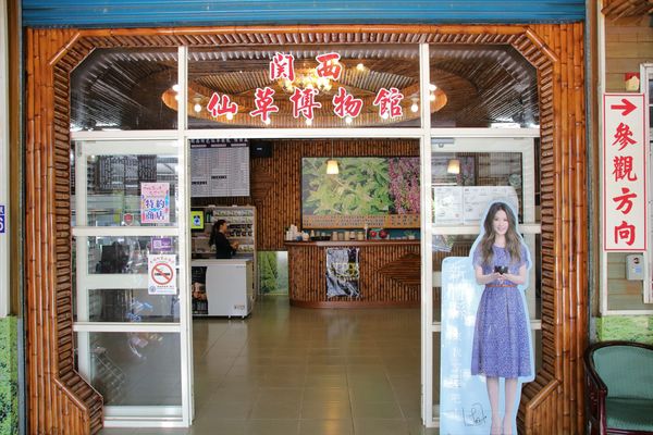 關西仙草博物館生態農場:【新竹景點】仙草巷關西仙草博物館~仙草飯糰創意料理/復古黑膠唱片展示/仙草凍DIY體驗/走訪一趟綠色小徑豐富這趟的生態之旅吧