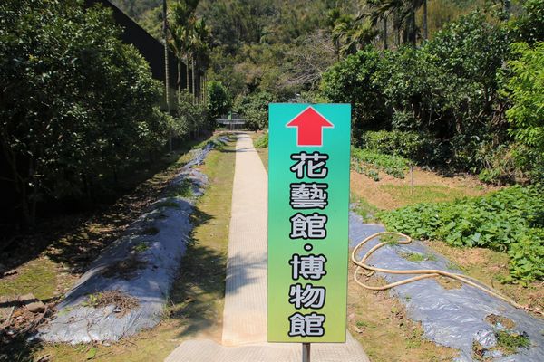 關西仙草博物館生態農場:【新竹景點】仙草巷關西仙草博物館~仙草飯糰創意料理/復古黑膠唱片展示/仙草凍DIY體驗/走訪一趟綠色小徑豐富這趟的生態之旅吧