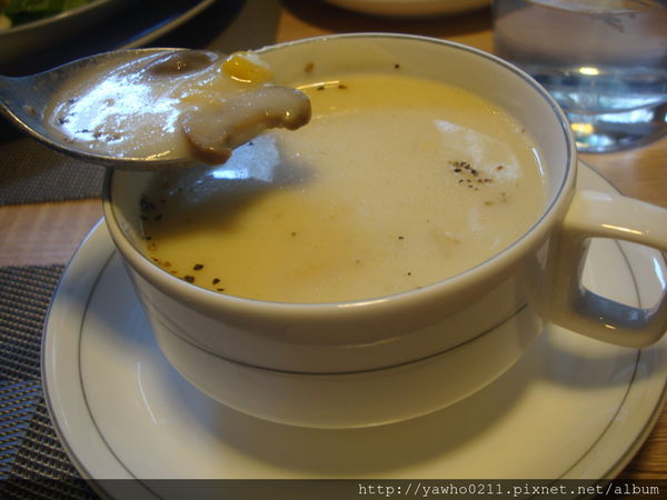 [新竹]象腳樹Moringa|以樹為名，簡單清新的質感餐廳。霸氣的鮭魚麵、烤全雞。不用再花大錢也可以吃好料!@老饕的最愛喜歡就打包