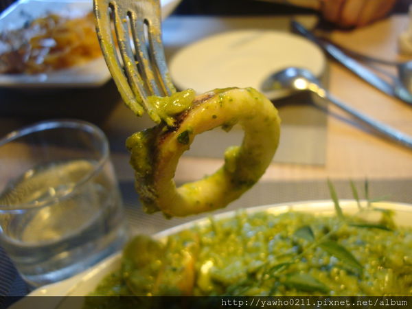 [新竹]象腳樹Moringa|以樹為名，簡單清新的質感餐廳。霸氣的鮭魚麵、烤全雞。不用再花大錢也可以吃好料!@老饕的最愛喜歡就打包