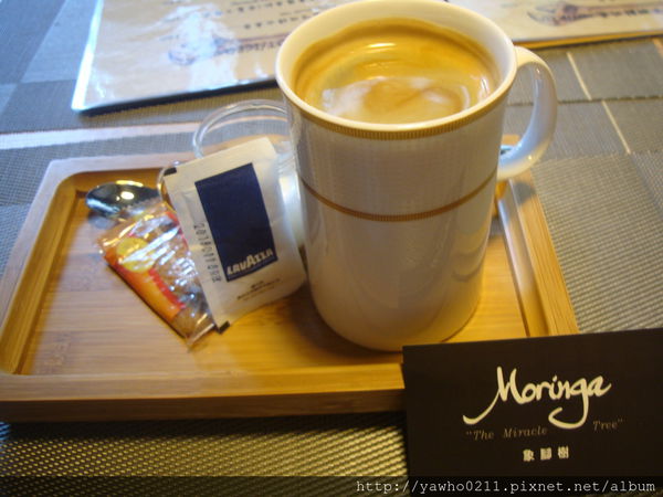 [新竹]象腳樹Moringa|以樹為名，簡單清新的質感餐廳。霸氣的鮭魚麵、烤全雞。不用再花大錢也可以吃好料!@老饕的最愛喜歡就打包