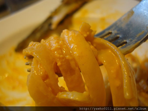 [新竹]象腳樹Moringa|以樹為名，簡單清新的質感餐廳。霸氣的鮭魚麵、烤全雞。不用再花大錢也可以吃好料!@老饕的最愛喜歡就打包