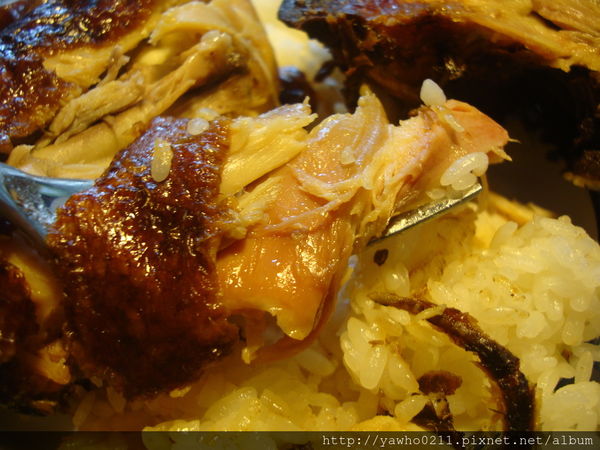 [新竹]象腳樹Moringa|以樹為名，簡單清新的質感餐廳。霸氣的鮭魚麵、烤全雞。不用再花大錢也可以吃好料!@老饕的最愛喜歡就打包