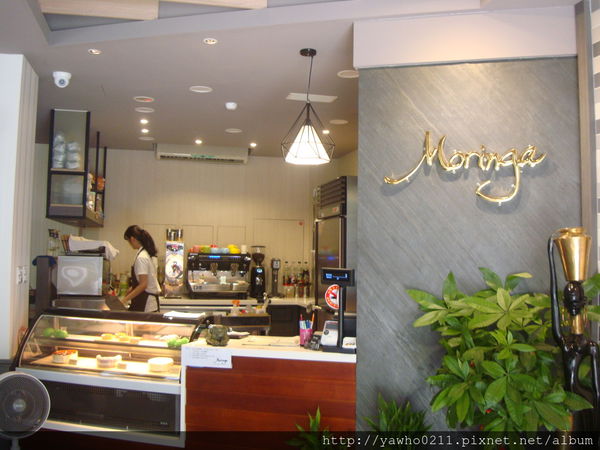 [新竹]象腳樹Moringa|以樹為名，簡單清新的質感餐廳。霸氣的鮭魚麵、烤全雞。不用再花大錢也可以吃好料!@老饕的最愛喜歡就打包