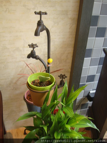 [新竹]象腳樹Moringa|以樹為名，簡單清新的質感餐廳。霸氣的鮭魚麵、烤全雞。不用再花大錢也可以吃好料!@老饕的最愛喜歡就打包