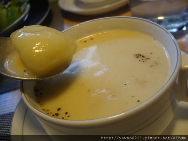 [新竹]象腳樹Moringa|以樹為名，簡單清新的質感餐廳。霸氣的鮭魚麵、烤全雞。不用再花大錢也可以吃好料!@老饕的最愛喜歡就打包