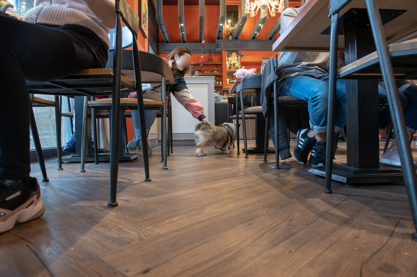 林口美食推薦》Eat enjoy 意享美式廚房 林口三井店 – 寵物友善餐廳 平價美味的美式餐點 - 時空幻境 凌雲江海清