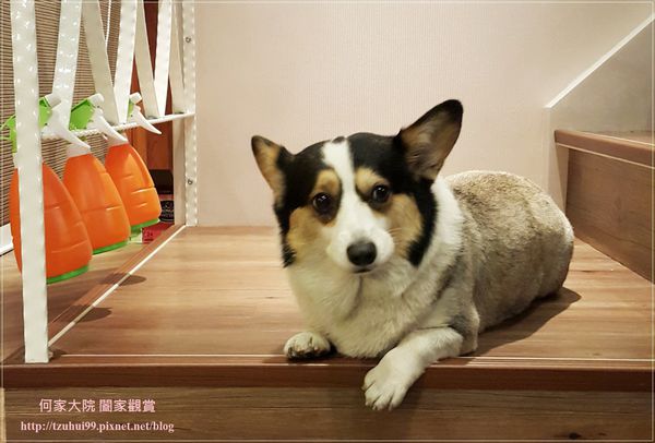 林口eat enjoy意享美式廚房(林口三井店) 13.jpg