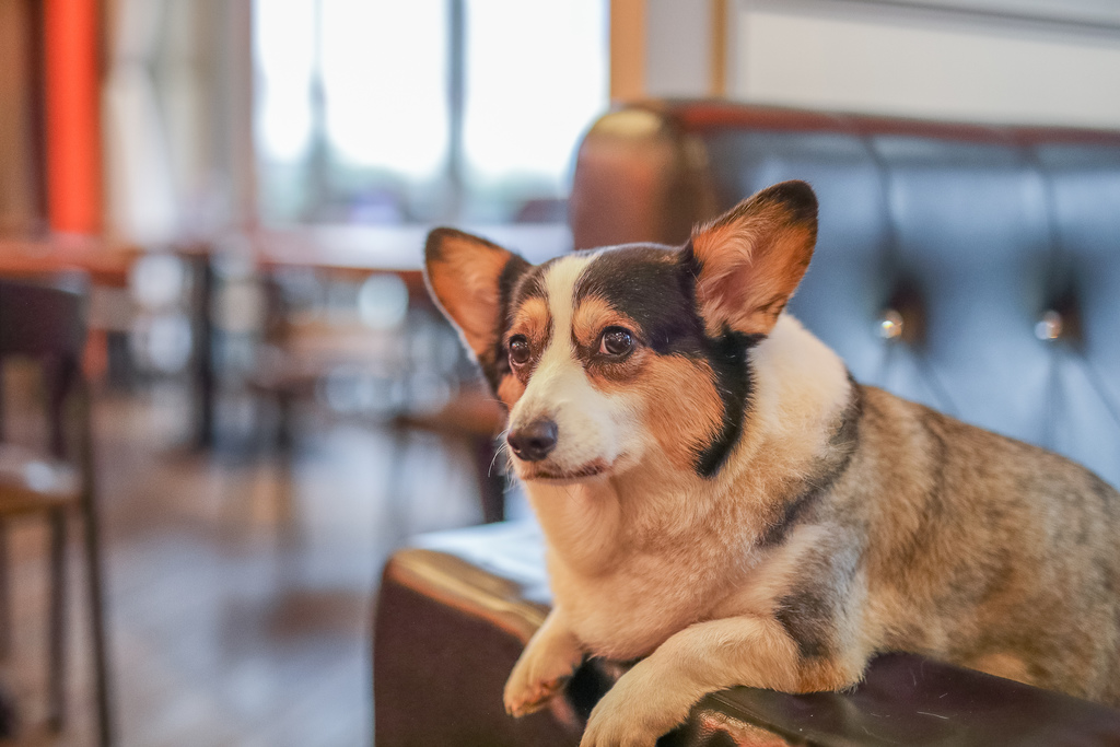 Eat enjoy 意享美式廚房19.jpg Eat enjoy 意享美式廚房19.jpg