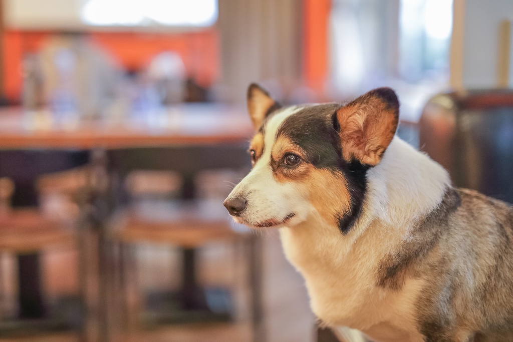 Eat enjoy 意享美式廚房20.jpg Eat enjoy 意享美式廚房20.jpg