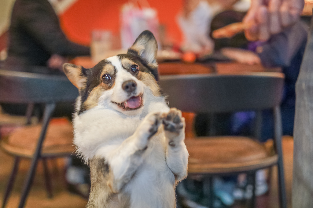 Eat enjoy 意享美式廚房22.jpg Eat enjoy 意享美式廚房22.jpg