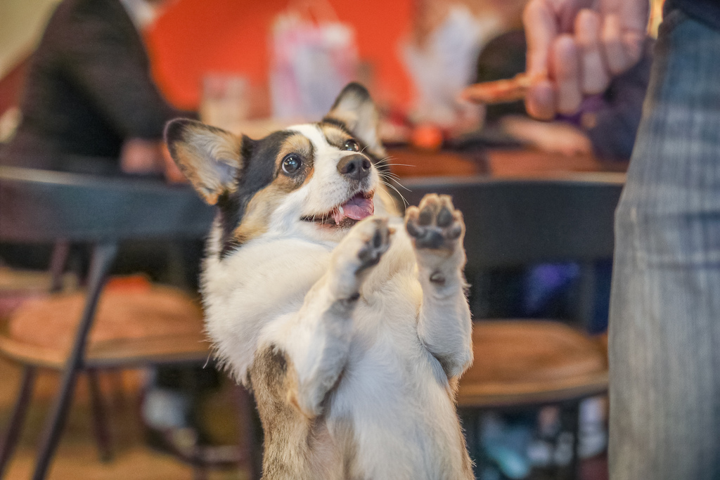 Eat enjoy 意享美式廚房21.jpg Eat enjoy 意享美式廚房21.jpg