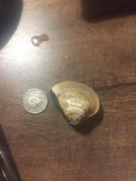 15817639_120300001333057416_1177298279_o